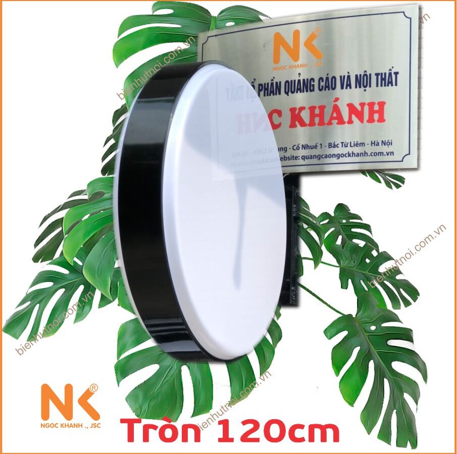 Phôi tròn Ø120cm